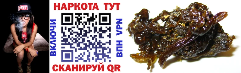 Где купить наркотики Шарыпово Гашиш  Конопля  кракен ССЫЛКА  Альфа ПВП  Вейп ТГК  Меф мяу мяу  КОКАИН 