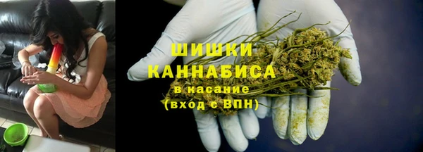 амф Аркадак
