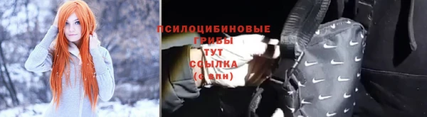 амф Аркадак